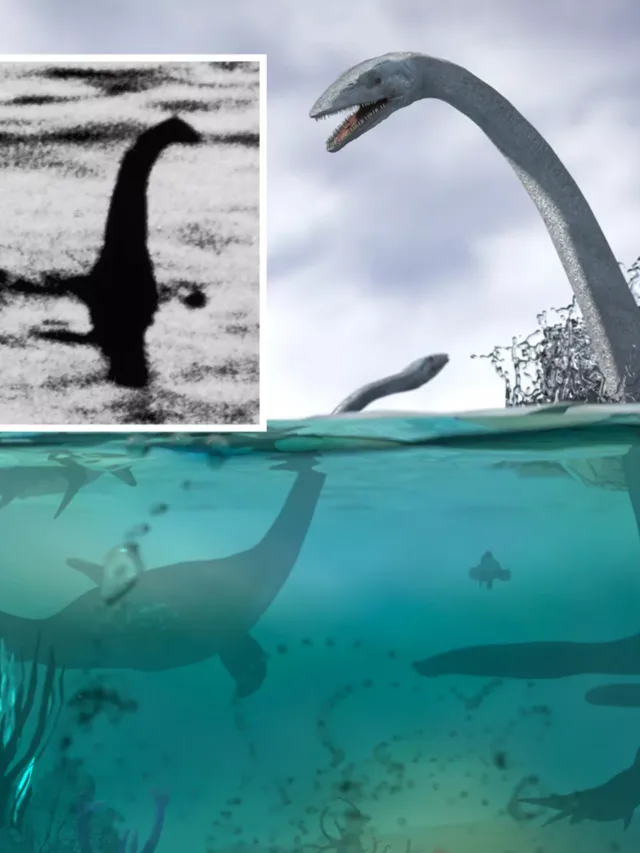 Fossils Suggest Loch Ness Monster May Be Real ?